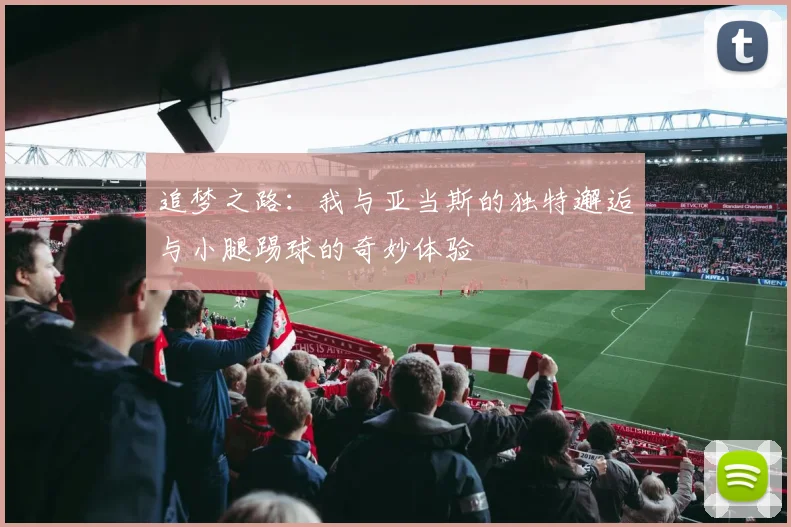 追梦之路：我与亚当斯的独特邂逅与小腿踢球的奇妙体验